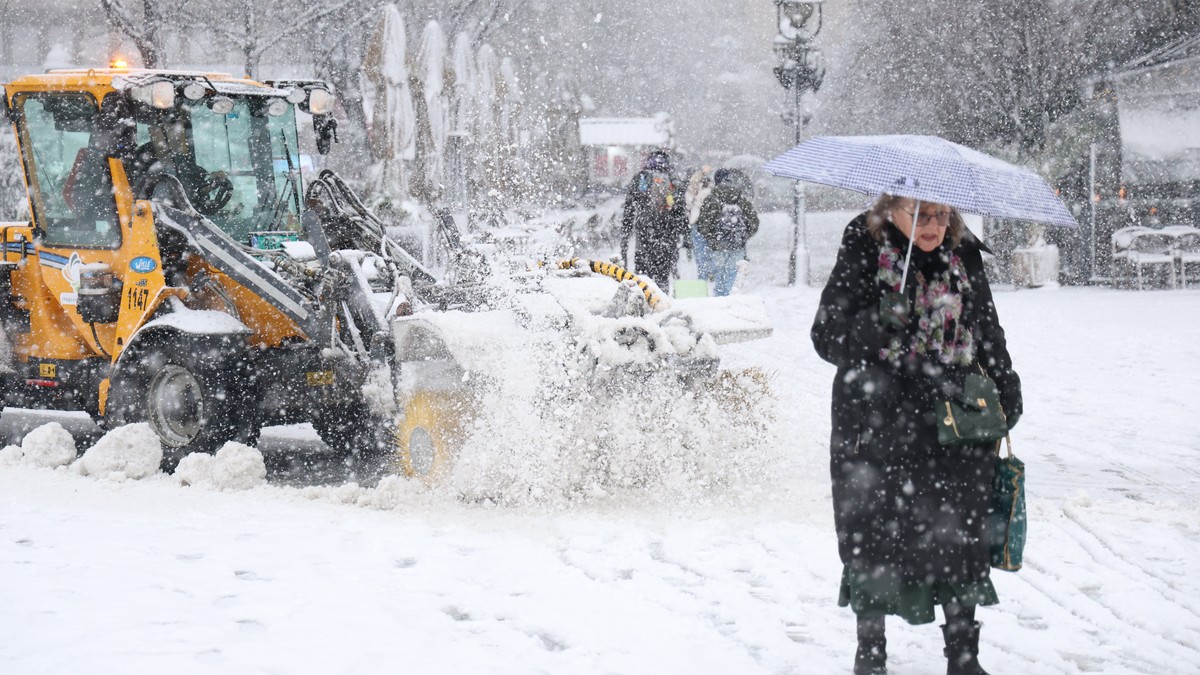 Sneg u Beogradu 4 januar 2026