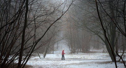 Nadchodzą roztopy i silny wiatr. Zima nie odpuszcza, ale będzie nieco cieplej