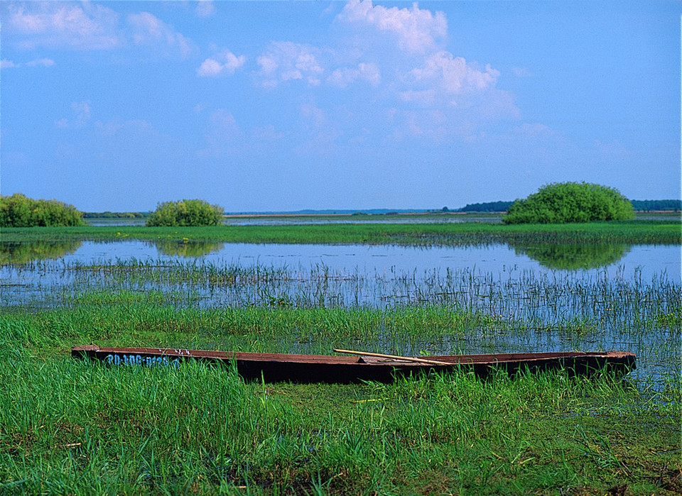 Biebrzaski Park Krajobrazowy