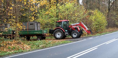 Żubry pojechały do ciepłych krajów