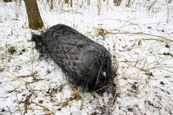 Szczątki rakiety SpaceX spadły na Polskę! Firma Muska komentuje awarię Falcon 9