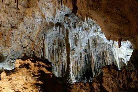 Galeria USA - Carlsbad Caverns, obrazek 21