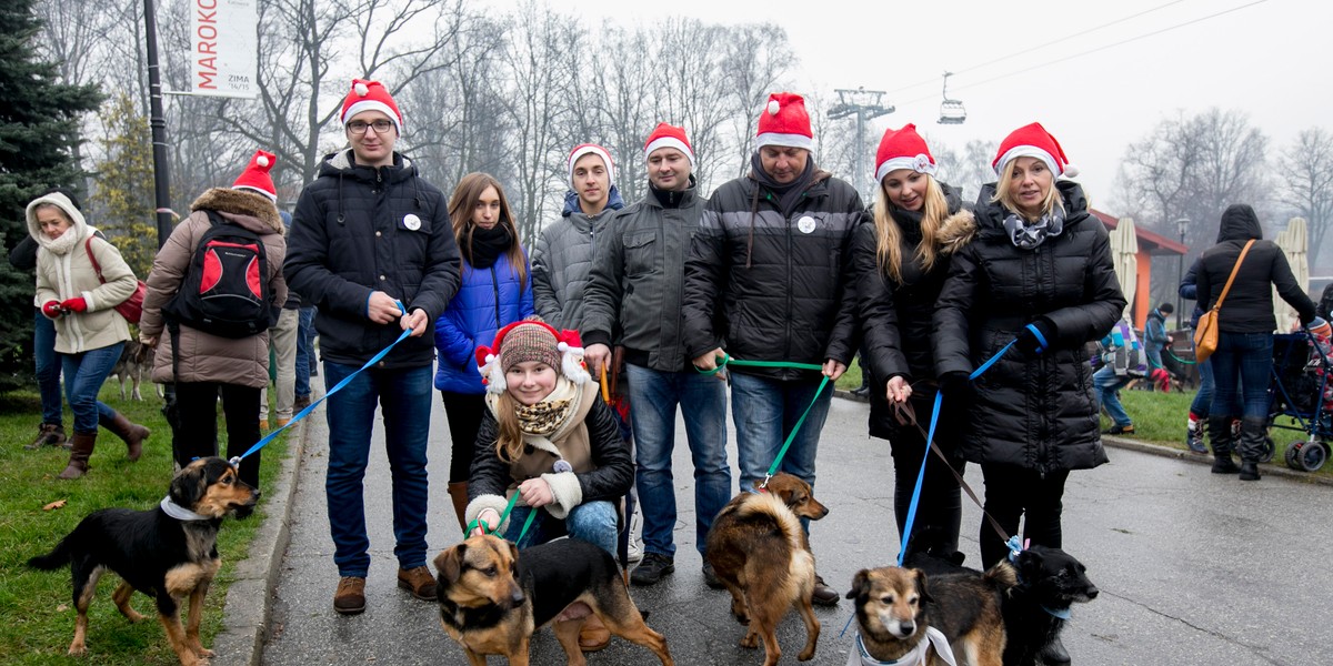 Marsz kundelków w Parku Śląskim w Chorzowie