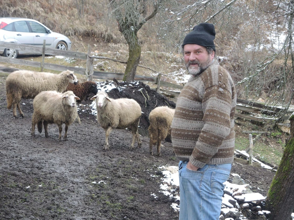 Dunja živi od prodaje jagnjadi