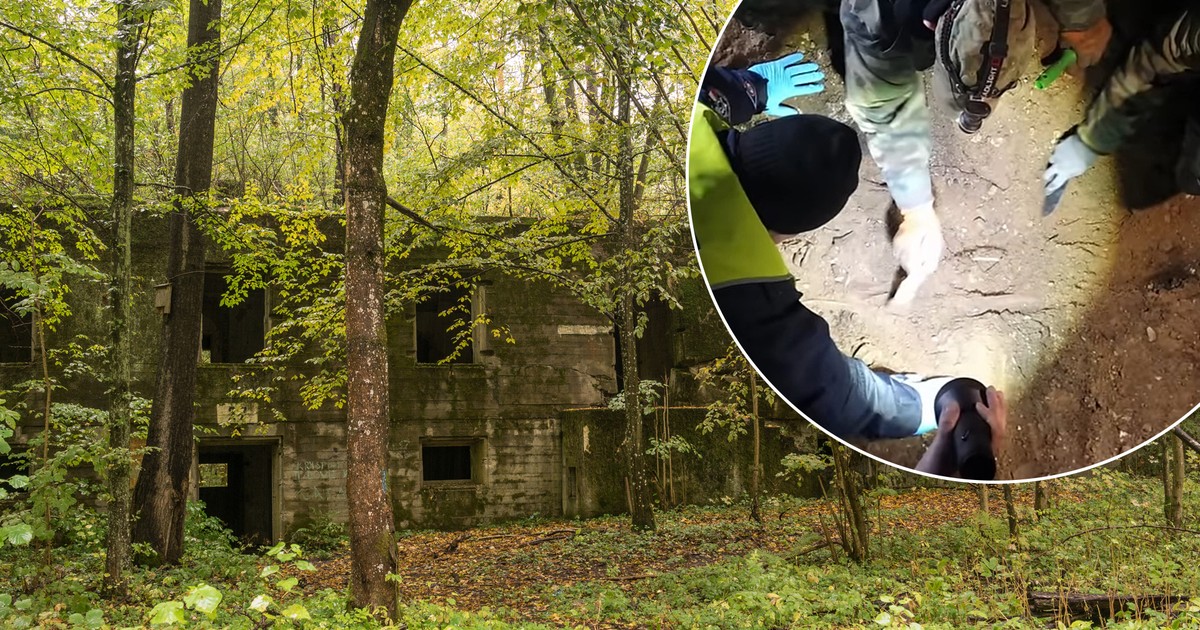 Nie miały trumien ani dłoni. Szkielety spod Wilczego Szańca wciąż budzą niepokój