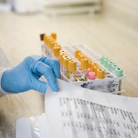Mit jelent a fehérje (protein) érték a laborleleten?