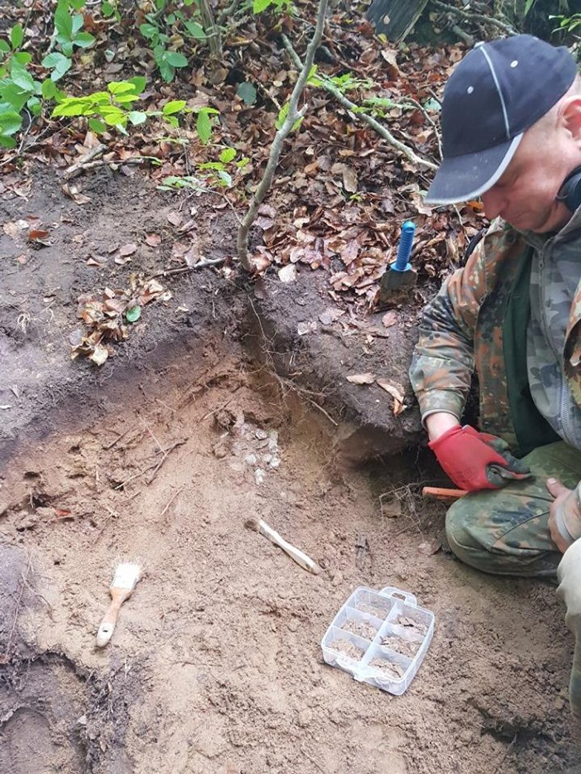 Poszedł na grzyby, w lesie odkrył bajeczny skarb