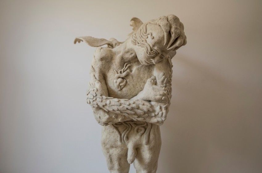 Arpad Pulai, Arktička morska čigra, 2022,