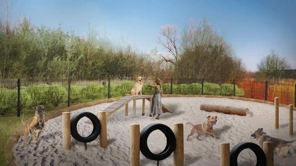 Na zielonym klinie powstanie wybieg dla psów