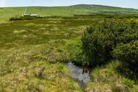 Mapping the world's peatlands is essential for climate protection