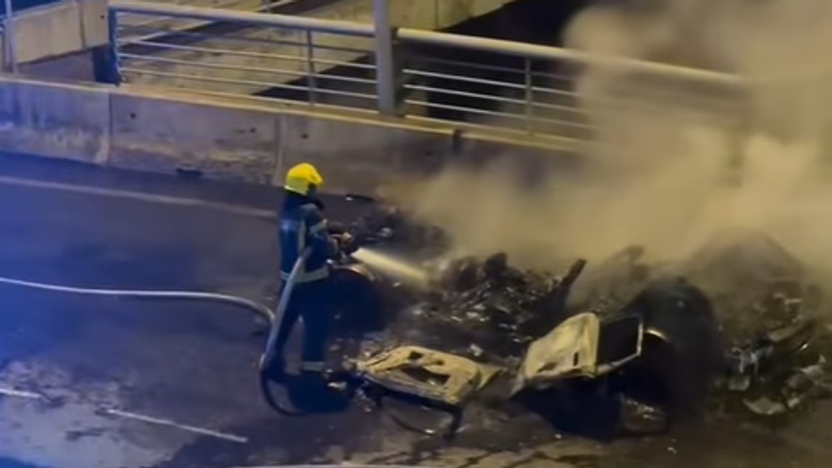 Automobil u potpunosti izgoreo nakon požara na Mostu na Adi 