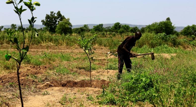 Land ownership was a main driver of the deadly conflict that broke out in Darfur in 2003