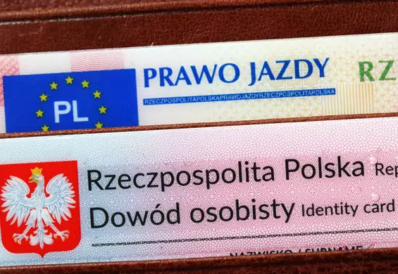 Ta cyfra w numerze PESEL gwarantuje sukces. Pojawia się u liderów