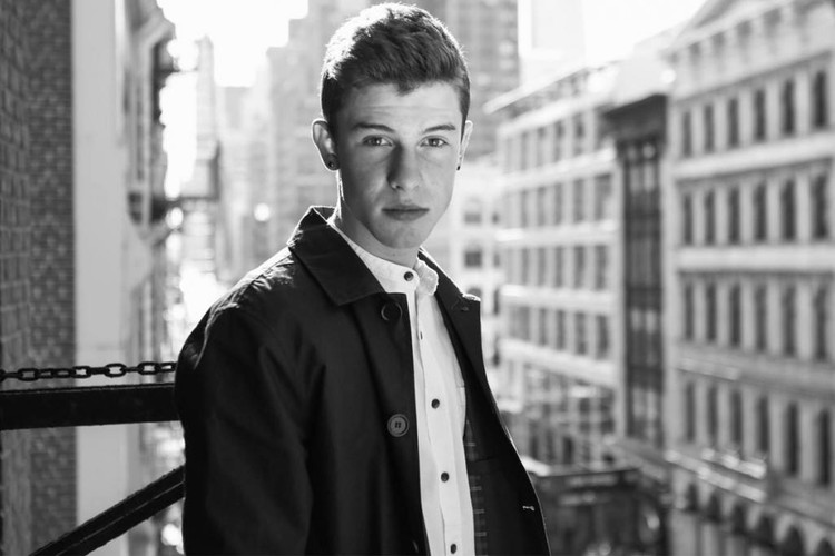 8. Shawn Mendes