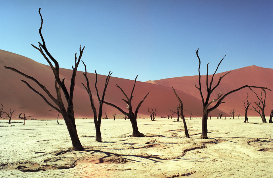 Dead Vlei