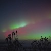 Aurora borealis na nebu iznad Mađarske