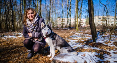 Katowiccy leśnicy wytną więcej drzew niż posadzą. To co przedstawili w Rudzie Śląskiej budzi trwogę