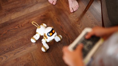 robopsy rosnaca popularnosc zastosowanie