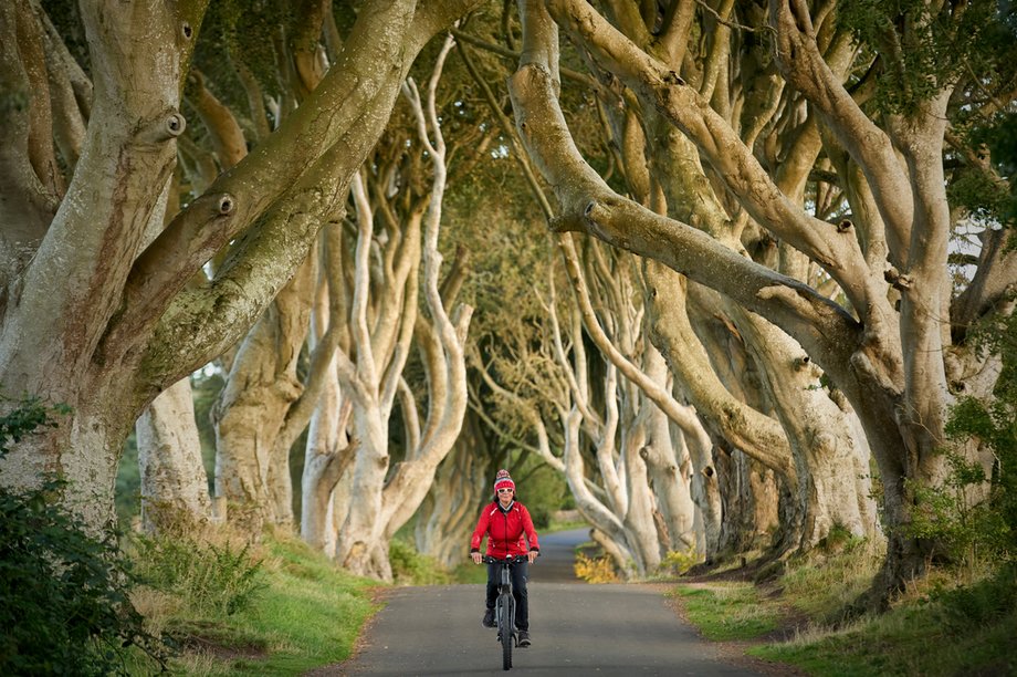 The Dark Hedges w Irlandii Północnej