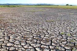 "Ekstremalnie wysokie temperatury". Gubernator stanu Oregon informuje o 95 ofiarach śmiertelnych