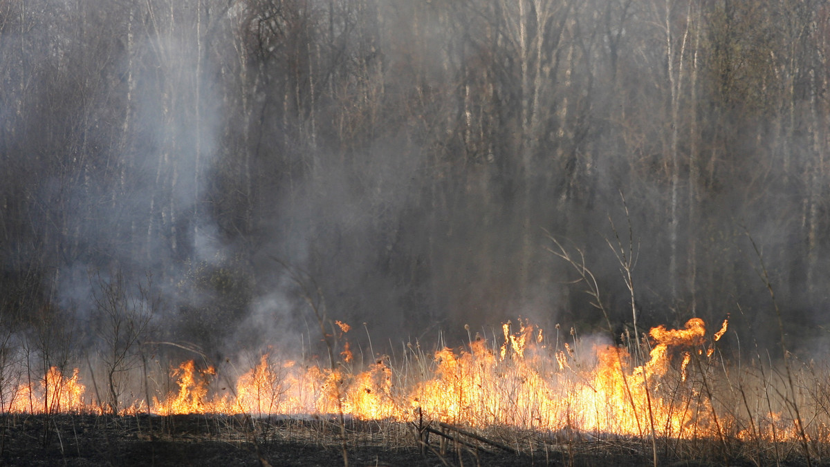 Do tragicznego w skutkach pożaru traw doszło dziś po południu w Bodzechowie w powiecie ostrowieckim. Po ugaszeniu ognia strażacy znaleźli w pobliżu nieprzytomnego mężczyznę. Niestety jego życia nie udało się już uratować.