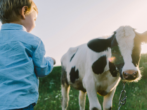 Magyarországon, a gyerekek hat-hét százaléka szenved valamilyen ételallergiától - beszélgetés dr. Csáki Csilla allergológussal