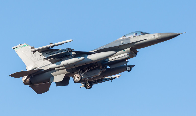 W bazie lotniczej w Łasku wylądowały pierwsze samoloty F-16 (3). Łask, 13.03.2014. Źródło: PAP/Grzegorz Michałowski