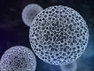A herpesz tüneteivel ellentétben a HPV által okozott szemölcsök nem hólyagos jellegűek, a bőrön, nyálkahártyán kis nyélen, szőlőfürt- vagy karfiolszerűen csüngő bőrfüggelékek formájában hetekig, hónapokig növekednek.