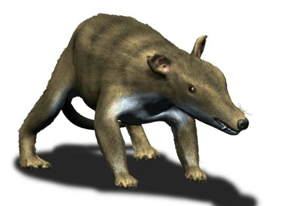 Veverice sa izuzetno oštrim zubima