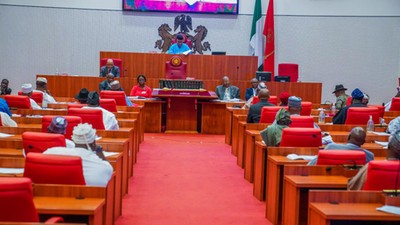 Secondary chamber of the Nigerian Senate [Tope Brown]