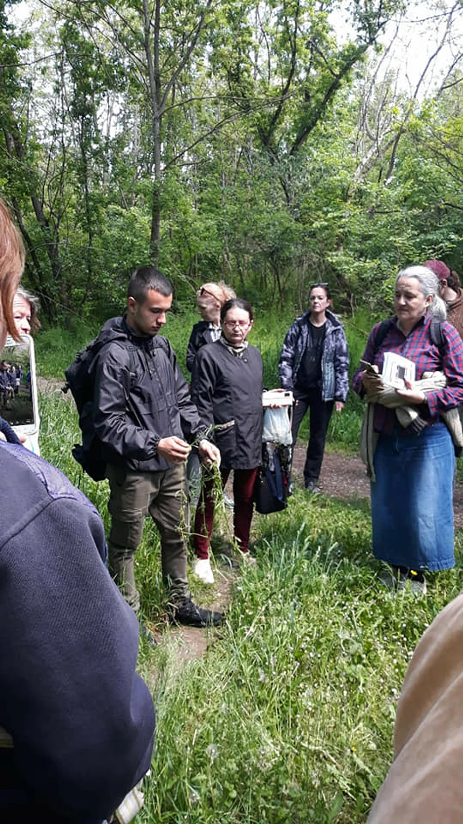 Marko Stevanović travar