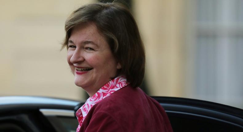 French Europe Minister Nathalie Loiseau said she had made up Brexit the cat as a joke