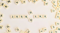 Szybki QUIZ tylko dla MISTRZÓW ORTOGRAFII! 7/10 to już powód do dumy