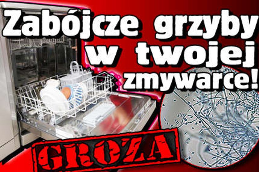 Zabójcze grzyby mieszkają w twojej zmywarce!