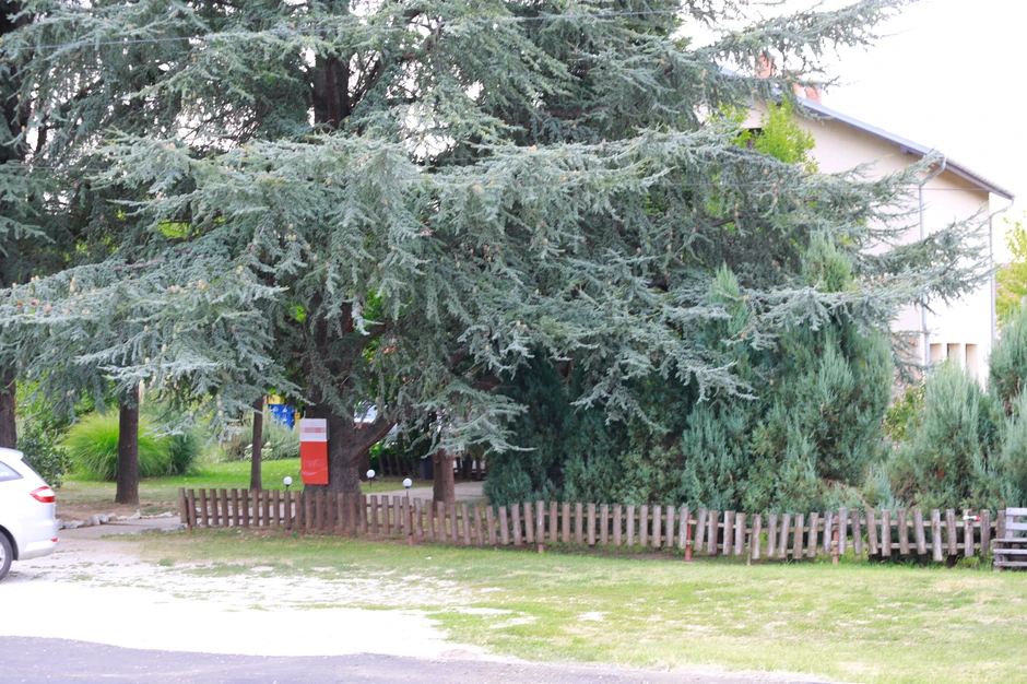 Restoran u kojem se dogodila tuča