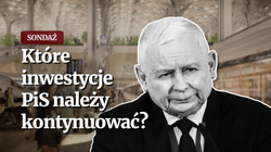 Na jakie pomysły PiS warto stawiać? Zaskakujący wynik [SONDAŻ]