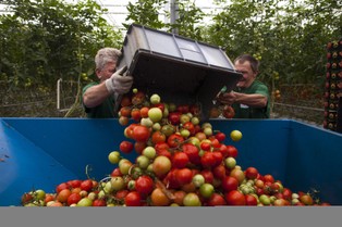 Rosja nam niepotrzebna. Polski eksport radzi sobie znakomicie