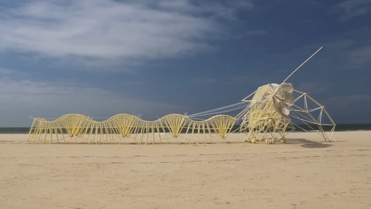 "Strandbeest", czyli "plażowe stworzenia", to dzieło wiedzy i wyobraźni Theo Jansena. Skomplikowane konstrukcje swoją nazwę zawdzięczają jedynemu środowisku, w którym można je spotkać - szerokim holenderskim plażom.