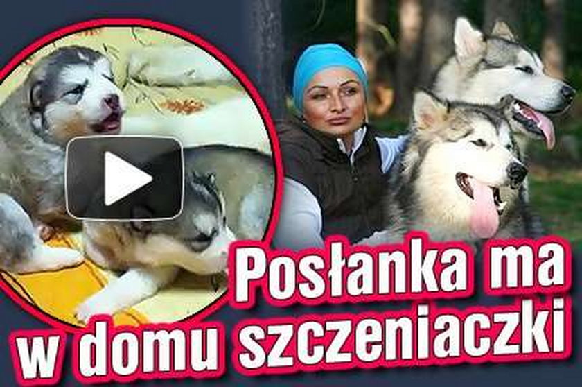 Posłanka ma w domu szczeniaczki. WIDEO