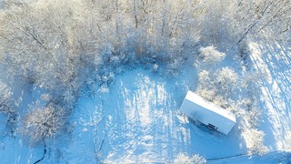 Zakaz wstępu do lasów w północnej Polsce. Zagrożenie dla zdrowia i życia
