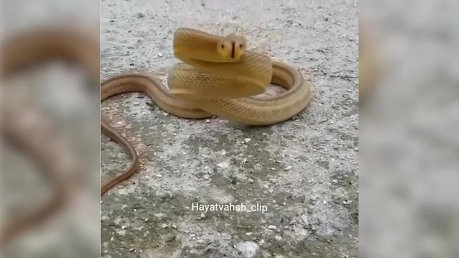 Oporavak mladića protiče zadovoljavajuće