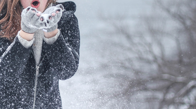 Már délelőtt megteltek a parkolók a Normafánál /Illusztráció: Pexels