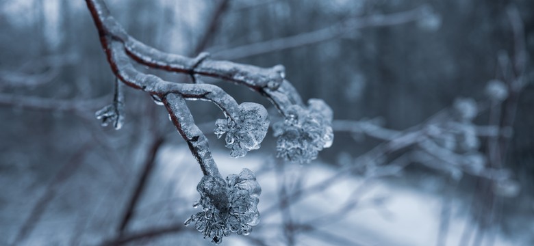 Padł "absolutny rekord Polski". Meteorolodzy zaniepokojeni:  Ciężko to opisać