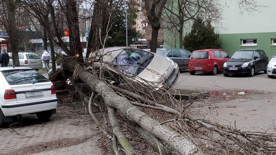 Tűzoltók, rendőrök is jöttek / Fotó: Olvasóriporter