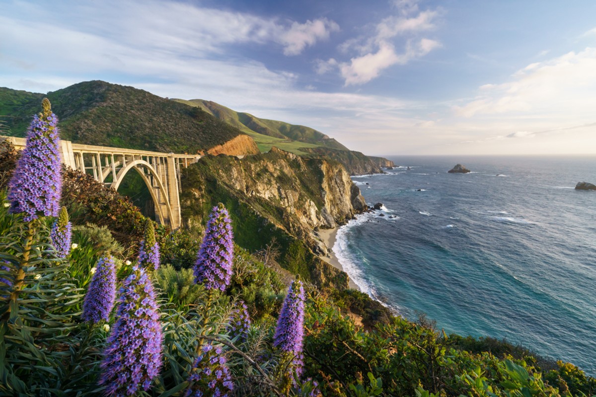 Big Sur Kierując się z Los Angeles na północ wybierzcie drogę nr 1, którą wielu uznaje za najpiękniejszą trasę w Stanach Zjednoczonych. Ciągnie się ona bowiem wzdłuż wybrzeża oblewanego przez Pacyfik i oferuje nam widoki na wyjątkowe plaże poprzecinane skalistymi klifami. Punktem kulminacyjnym podczas podróżowania „jedynką” jest region Big Sur z charakterystycznym mostem Bixby Creek (na zdjęciu). Uwaga! Podróżując trasą nr 1 należy upewnić się, czy jest ona przejezdna. Ze względu na lawiny błotne i osunięcia terenu, bardzo często fragmenty drogi są wyłączane z ruchu samochodowego. Zawsze możliwe jest jednak ominięcie zamkniętego fragmentu trasy i powrót na „jedynkę” w innym miejscu.