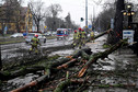 Burze śnieżne. Załamanie pogody w Szczecinie, prawie 200 interwencji