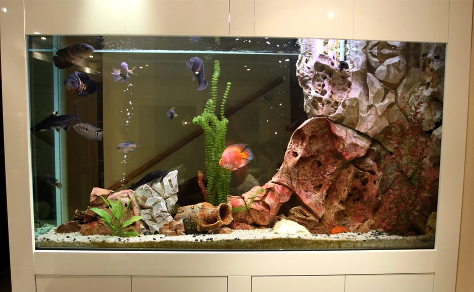 Kuća Bobana Rajovića