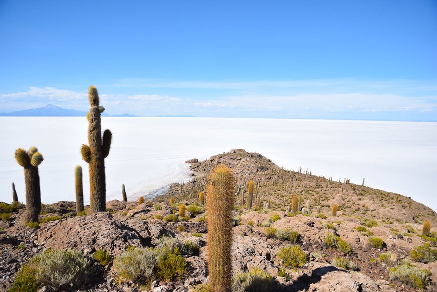 Pustynia Uyuni widziana z z wyspy Incahuasi