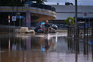 Brazylia: Na zalanych powodzią ulicach pojawiły się piranie i kajmany