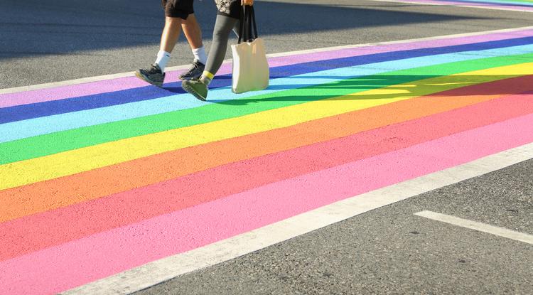 Rainbow pedestrian